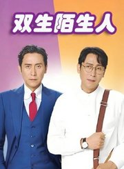 双生陌生人导视-热剧