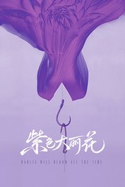 紫色大丽花