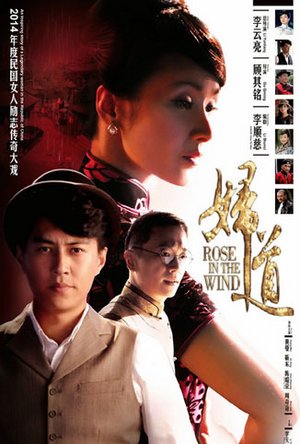 妇道TV版