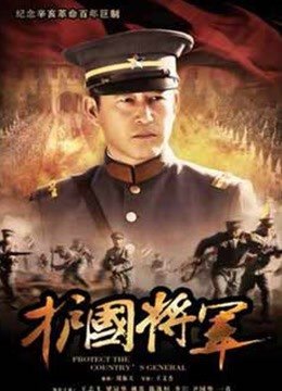 护国大将军