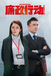 廉政行动2024