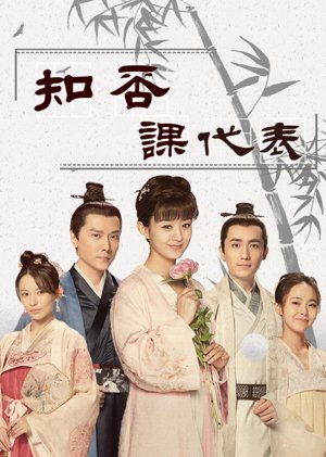 知否课代表
