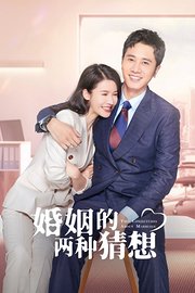 婚姻的两种猜想TV版