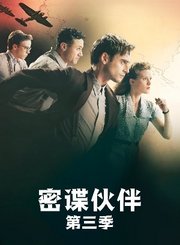 密谍伙伴第3季导视-热剧