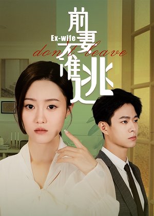 前妻不准逃