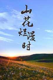 山花烂漫时