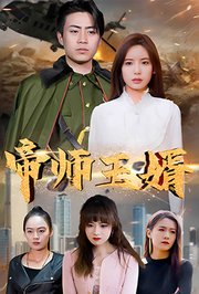 帝师王婿