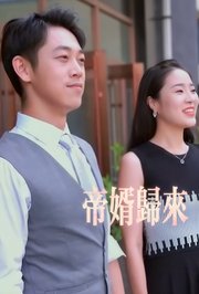 帝婿归来