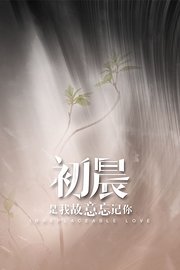 与晨同光