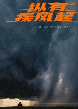 纵有疾风起