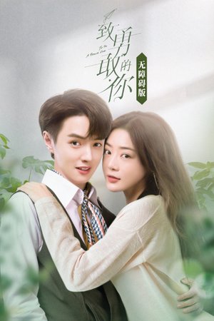 致勇敢的你无障碍版