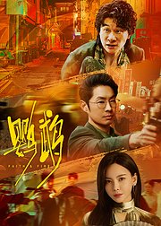 鹦鹉