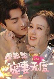 傅先生宠妻无度