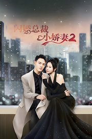 闪婚总裁小娇妻2