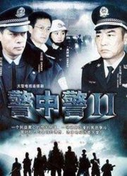 警中警2