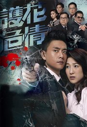 护花危情粤语版