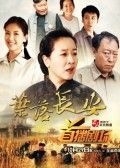 叶落长安