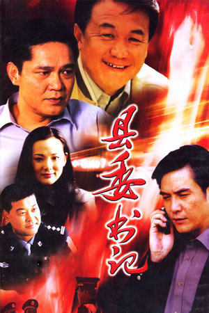 县委书记