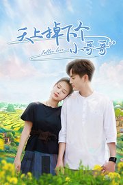 天上掉下个小哥哥