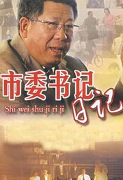 市委书记日记