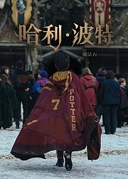 哈利波特与魔法石
