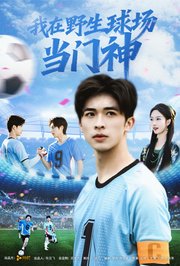 我在野生球场当门神