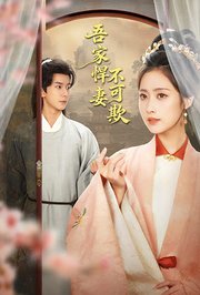 吾家悍妻不可欺