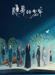 隐身的名字导视-热剧