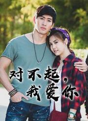 对不起，我爱你-普通话版