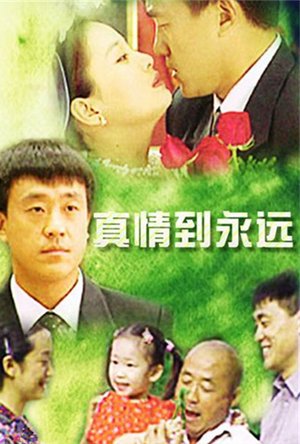 真情到永远