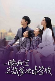 一胎两宝：总裁爹地请签收