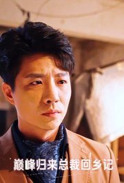 巅峰归来总裁回乡记