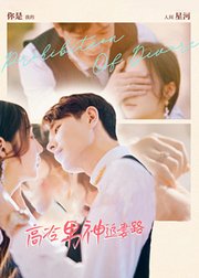 高冷男神追妻路