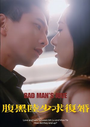 腹黑陆少求复婚