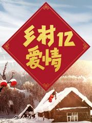 乡村爱情12