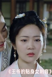 王爷的贴身女刺客