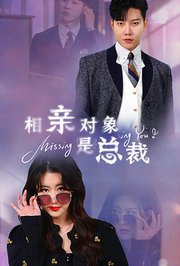 相亲对象是总裁