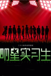明星实习生