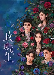 《玫瑰丛生》幕后花絮集