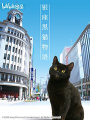 银座黑猫物语