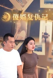 傻婿复仇记