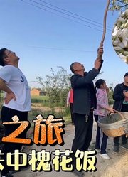 关中馍馍不好蹭，粉丝盛情邀进农家院，摘花现做槐花饭