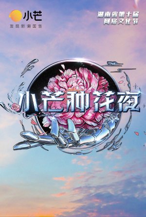 小芒种花夜