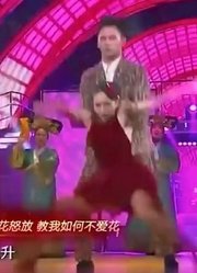 与星共舞：温升豪挑战华尔兹，刘真一眼看出问题，果然够专业！