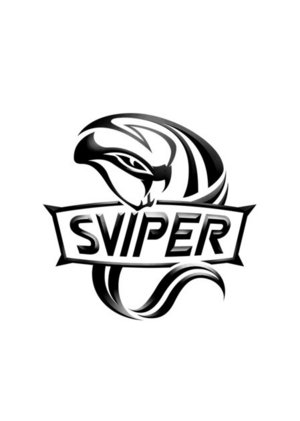 sViper战队