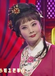 戏曲小品《拷红》表演何赛飞：老夫人找到你家小姐没有