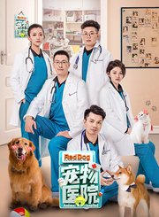 宠物医院第1季