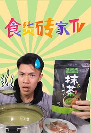 食货砖家TV