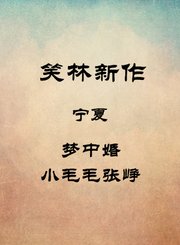 宁夏-梦中婚-小毛毛张峥