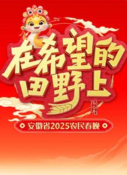 2025安徽农民春晚